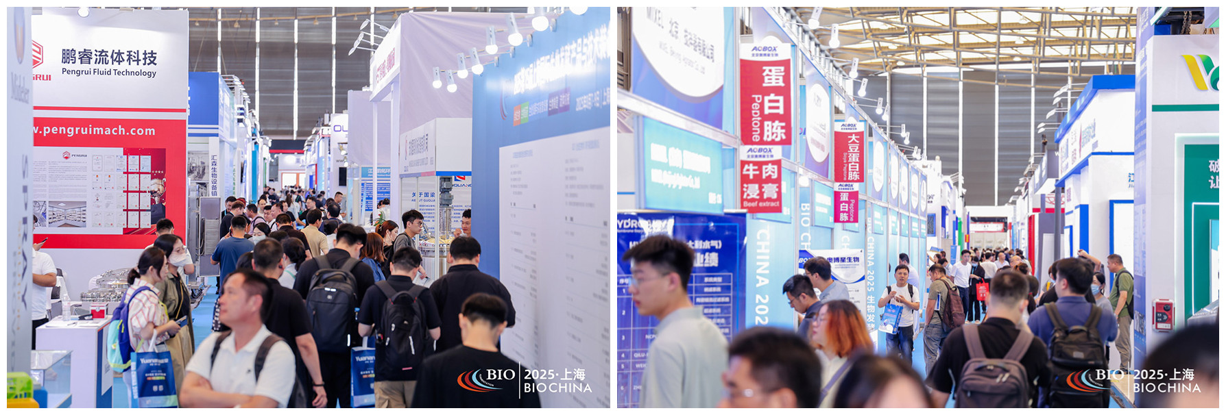 JIAN7937-opq3885582372_����.jpg