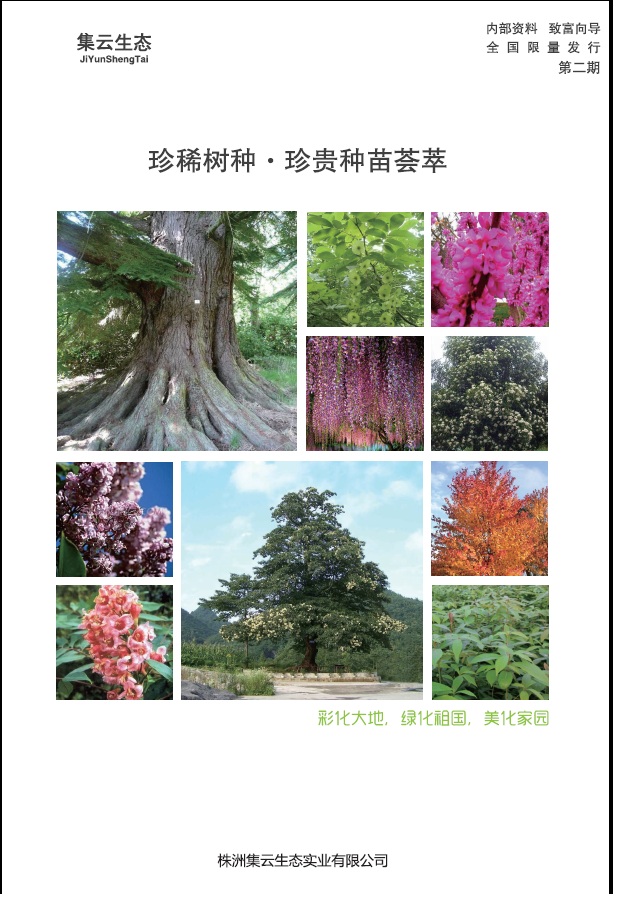 ���޼������B(t��i)���I(y��)��Әӱ�����